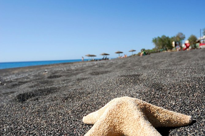 Santorini Highlights: 5-Hour Private Tour with Wine-Tasting - Price, Group Discounts, and What You’re Really Paying For