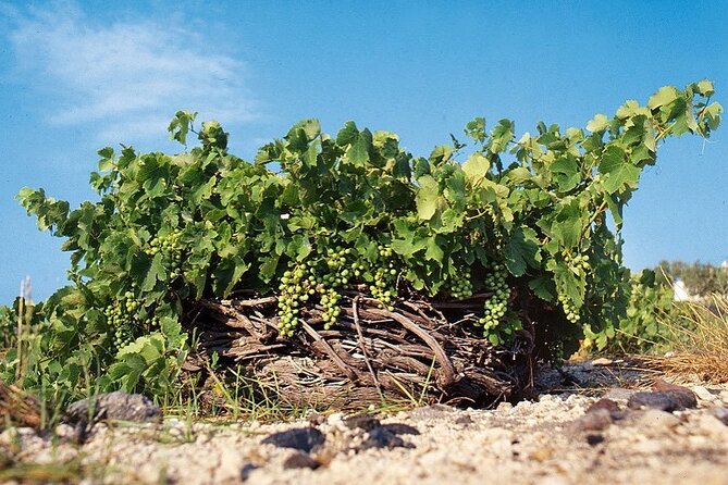 Santorini Private Highlights Tour & Wine Tasting with local guide - How a 5-hour private highlights route saves you on Santorini time