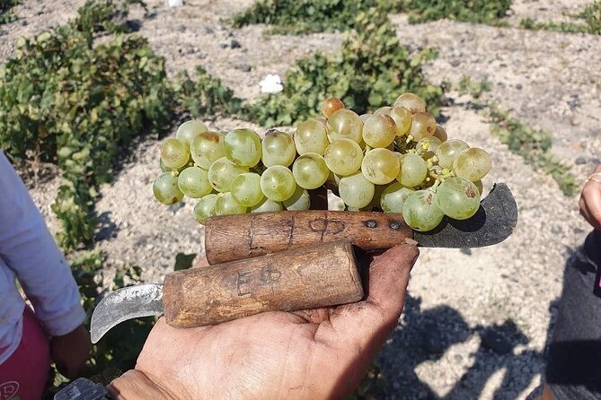 Santorini Private Highlights Tour & Wine Tasting with local guide - Prophet Elias Monastery (567 meters) and Pyrgos: Santorini’s high-view two-step