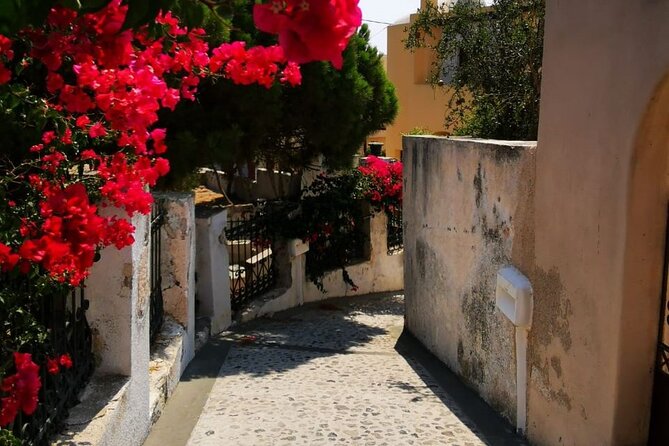 Santorini Private Tour Highlights 6h for Groups and Families - Price and value: when $660.77 per group makes sense