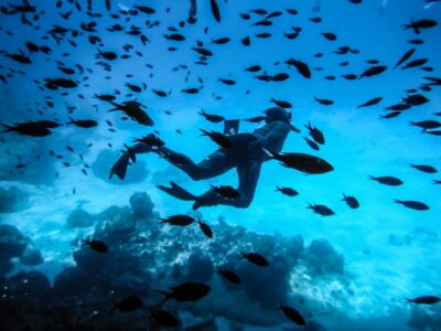 Santorini: Scuba Diving Experience for Beginners - Gear-up and the skills lesson before you go underwater