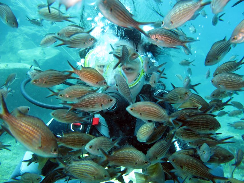Santorini: Scuba Diving Experience for Beginners - Price check: what $147 includes, and what it doesn’t