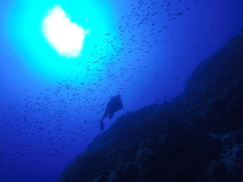 Santorini: Scuba Diving Experience for Beginners - Who this Santorini beginner underwater session suits (and who should skip it)