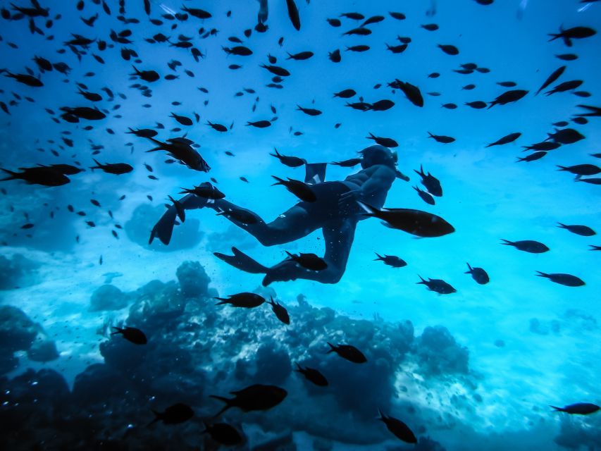 Santorini: Scuba Diving Experience for Beginners - Gear-up and the skills lesson before you go underwater