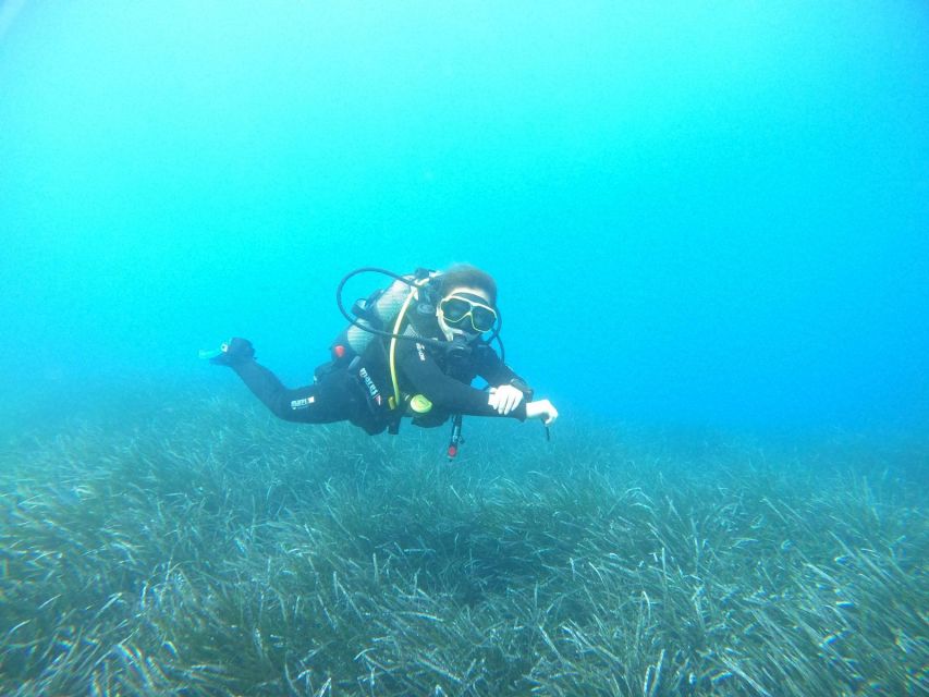 Santorini: Scuba Diving Experience in Caldera for Beginners - Instructors, group size, and the calm factor (Alex, Irini, Mike and others)