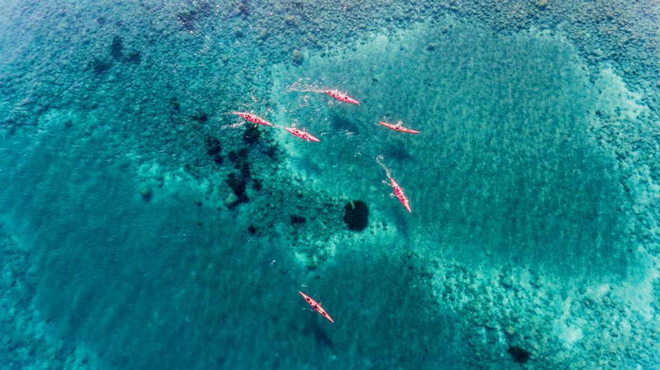 Santorini: Sea Kayaking with Light Lunch - Price and value: what $135 buys you in real terms