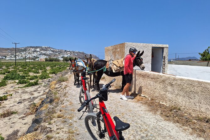 Santorini Small Group Guided E-bike Tour & Local Tomato Museum - Akrotiri Venetian Castle viewpoint: Heart of Santorini