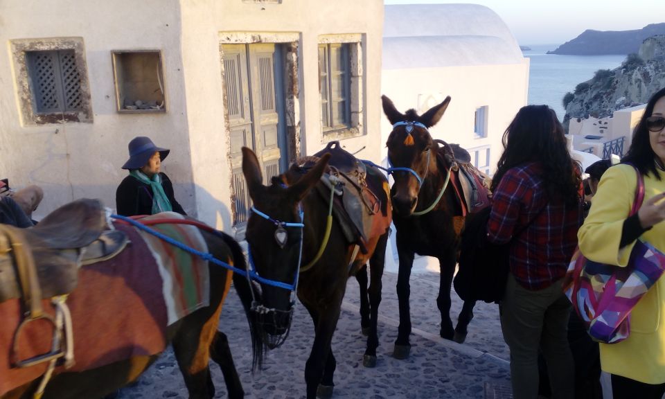 Santorini: Small-Group Highlights Tour of Venetian Castles - Firostefani and the Rock of Skaros: the quick photo punctuation marks
