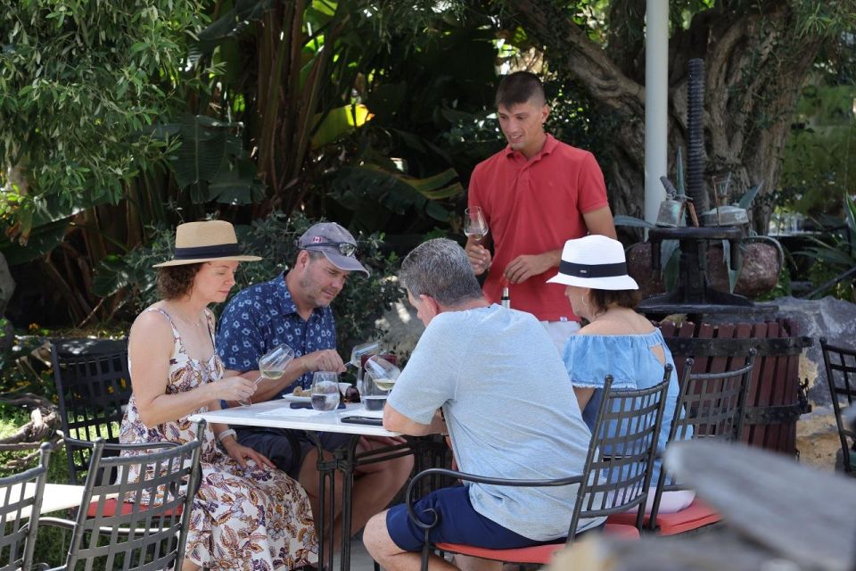Santorini: Tour of Wineries with Wine Tasting & Food - Stop One: Vineyard and Winery Intro, Then Your First Round of Tastings