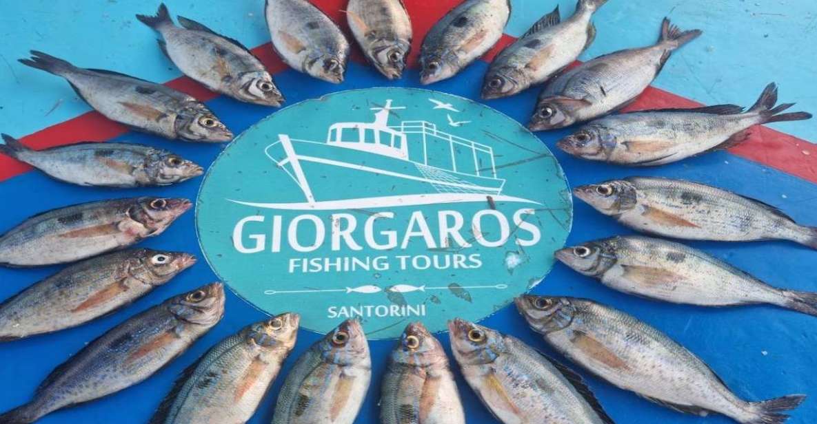 Santorini: Traditional Fishing Trip and Fresh Fish Lunch - Anchor Near Red, White, and Black Beach (and Why That Matters)