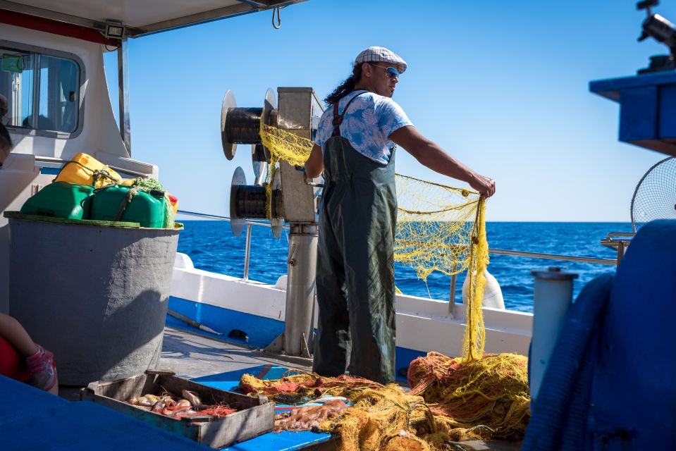 Santorini: Traditional Fishing Trip and Fresh Fish Lunch - Lunch on Board: BBQ Catch of the Day, Sides, and Drinks