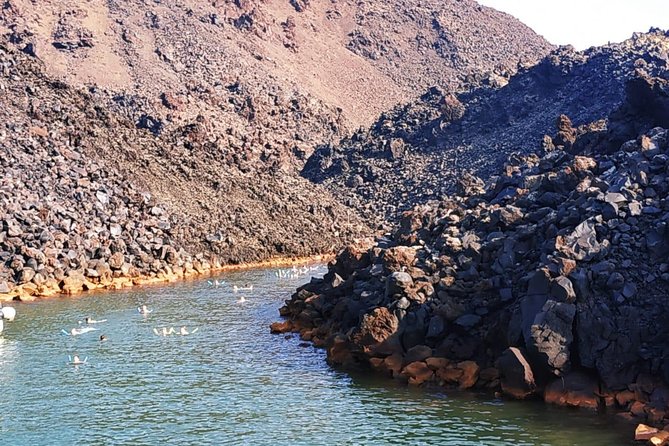 Santorini Volcanic Islands Cruise: Volcano, Hot Springs and Thirassia - Tour style: group size, crowd levels, and timing reality