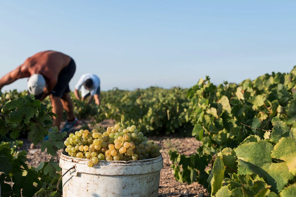 Santorini Wine Roads: Tour of 3 Wineries with a Sommelier - Key Highlights You’ll Actually Care About