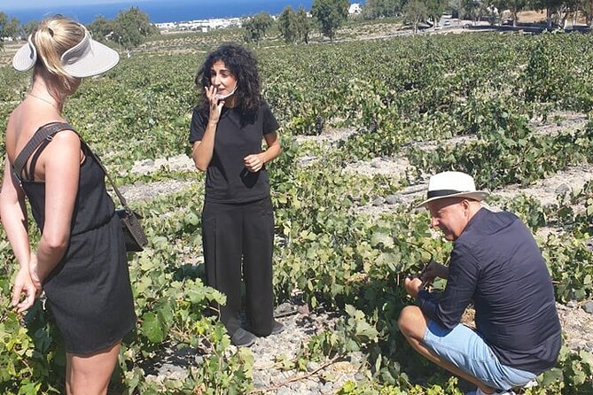 Santorini Wine Secrets - Venetsanos in Megalochori: Views First, Then Wine