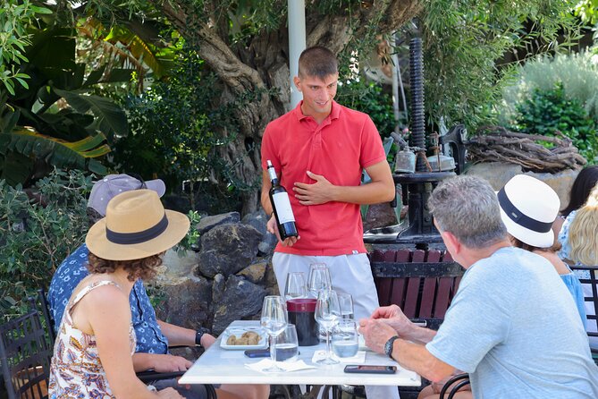 Santorini Wine Stories: Daytime Tour with Tasting & Lunch - Santorini wine, not just Santorini scenery