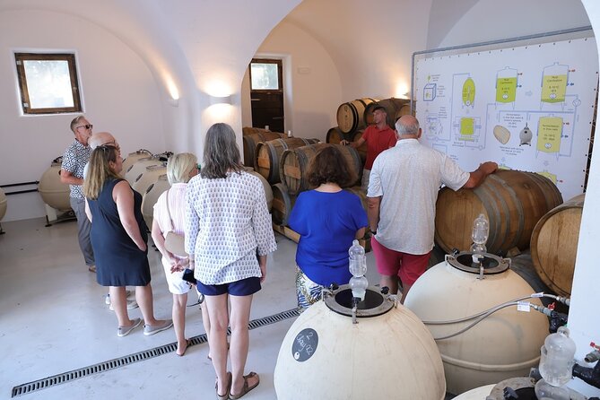 Santorini Wine Stories: Daytime Tour with Tasting & Lunch - Price and value: $181.41 for tasting and lunch