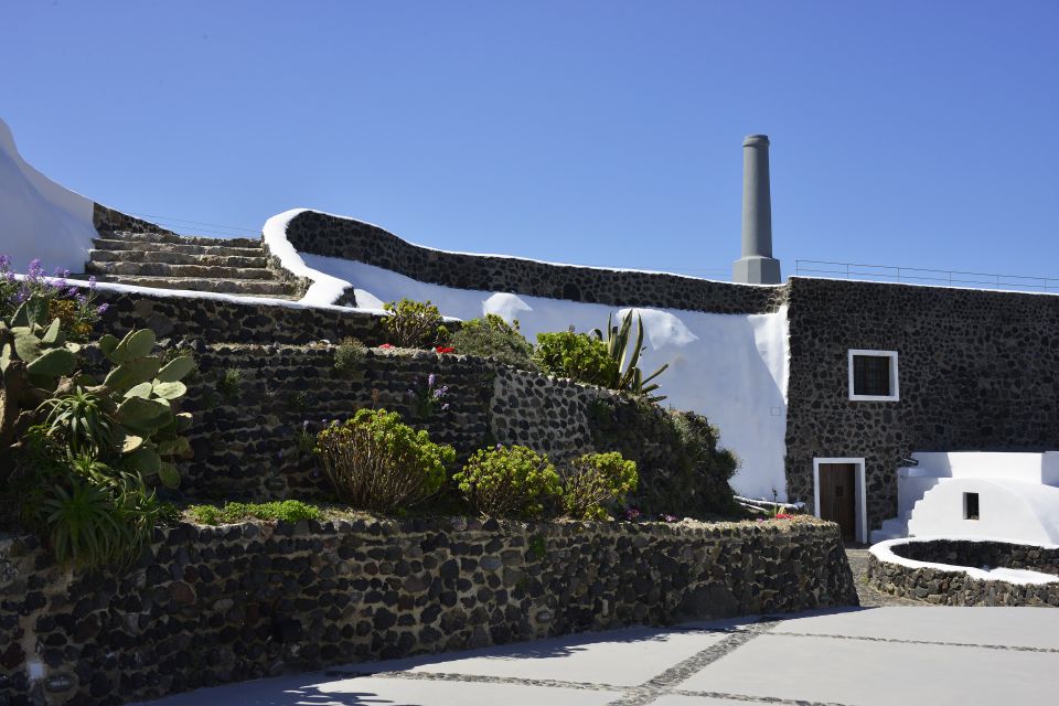 Santorini: Wine Tasting Tour to 3 Wineries with Transfer - Should You Book This Santorini Wine Tasting Tour?