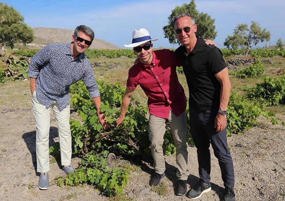 Santorini: Wine Tasting Tour with Snacks - Small-Group Energy and the Role of Your Guide