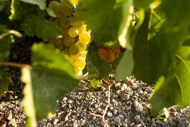 Santorini Wine Tour: Taste 12 best wines & 3 beers with pairings - Anhydrous Winery: the winemaker experience and Assyrtiko focus