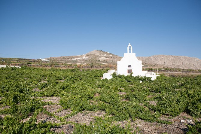 Santorini Wine Tour: Taste 12 best wines & 3 beers with pairings - Value check: is $184.38 actually a good deal?