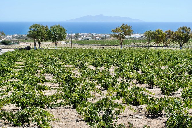Santorini: Wine Tour with Sunset in Oia - The drive between stops: when info beats boredom