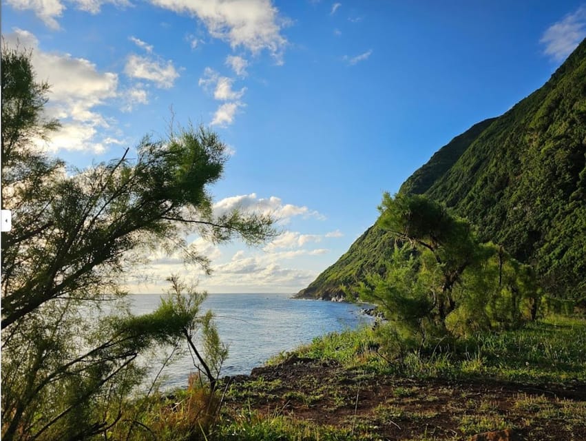 São Jorge: Island, Forest Reserve & Fajãs Guided Tour - Key things I’d plan around