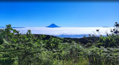 São Jorge: Island, Forest Reserve & Fajãs Guided Tour - Small-group comfort with guides like José, Ricardo, and John