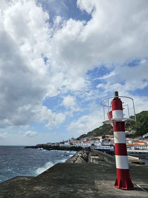 São Jorge: Island, Forest Reserve & Fajãs Guided Tour - Calheta lunch break: scheduled time, not included food