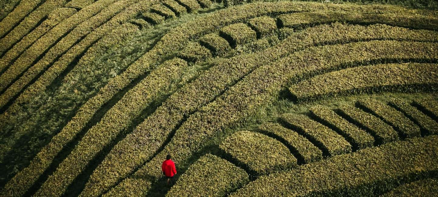 São Miguel: 2-Day Island Tour, Tea & Pineapple Plantation - A two-day plan that actually covers São Miguel