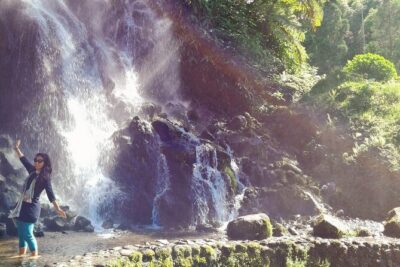 São Miguel 2-Day Tour: East & West Highlights Adventure - Price and what you really get for $137.87