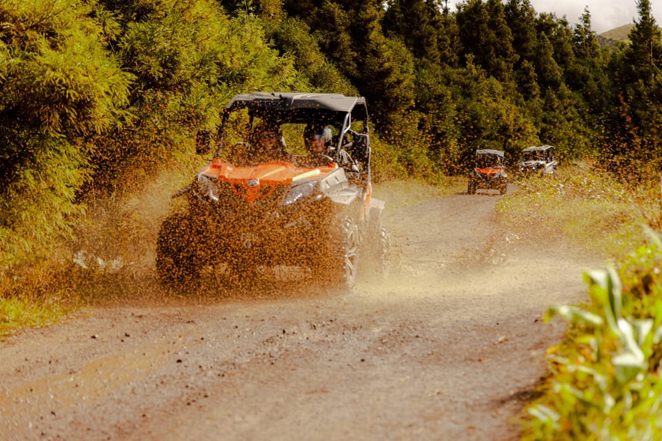 Sao Miguel: Buggy Tour Around Sete Cidades Volcano - Price and value: is $77 per person worth it
