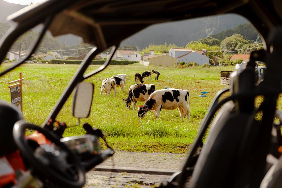 Sao Miguel: Buggy Tour Around Sete Cidades Volcano - Safety rules that keep it fun (and who it’s not for)