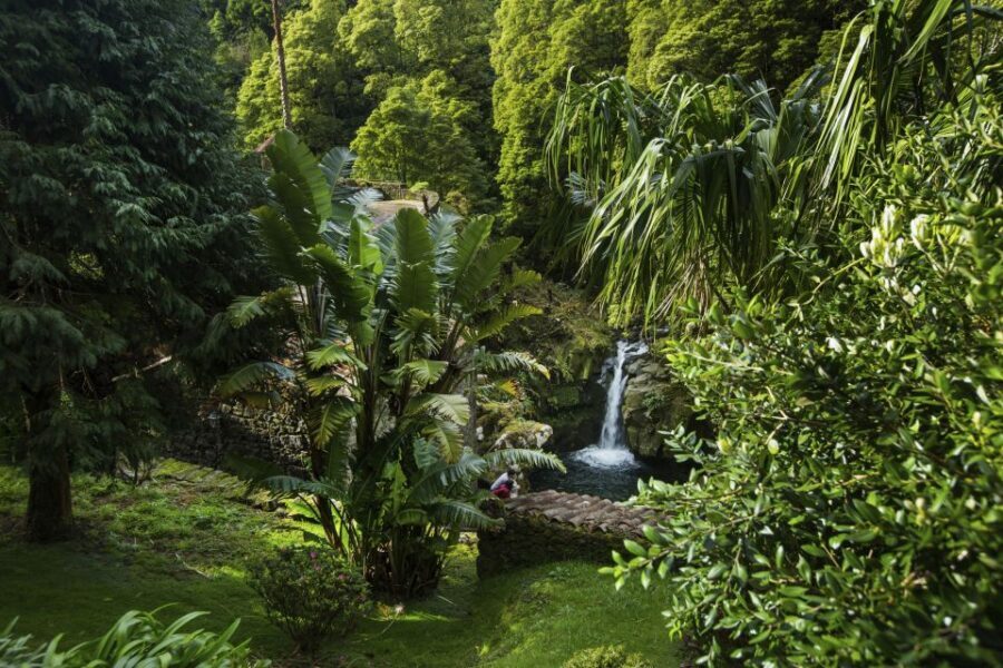 São Miguel East: Full-Day Van Tour with Lunch - Hot Springs Option vs. Geothermal Field in Furnas