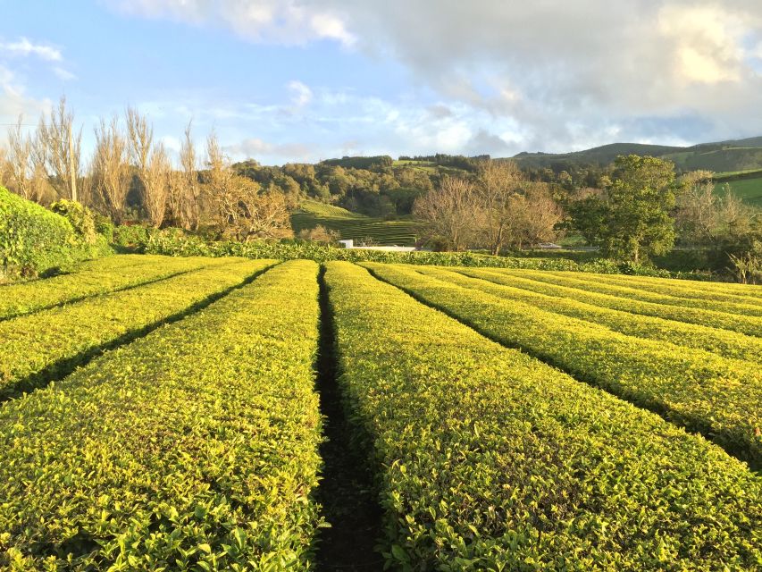 São Miguel Island: Full Day All-in-One Tour - A smart route for an 8-hour São Miguel day from Ponta Delgada
