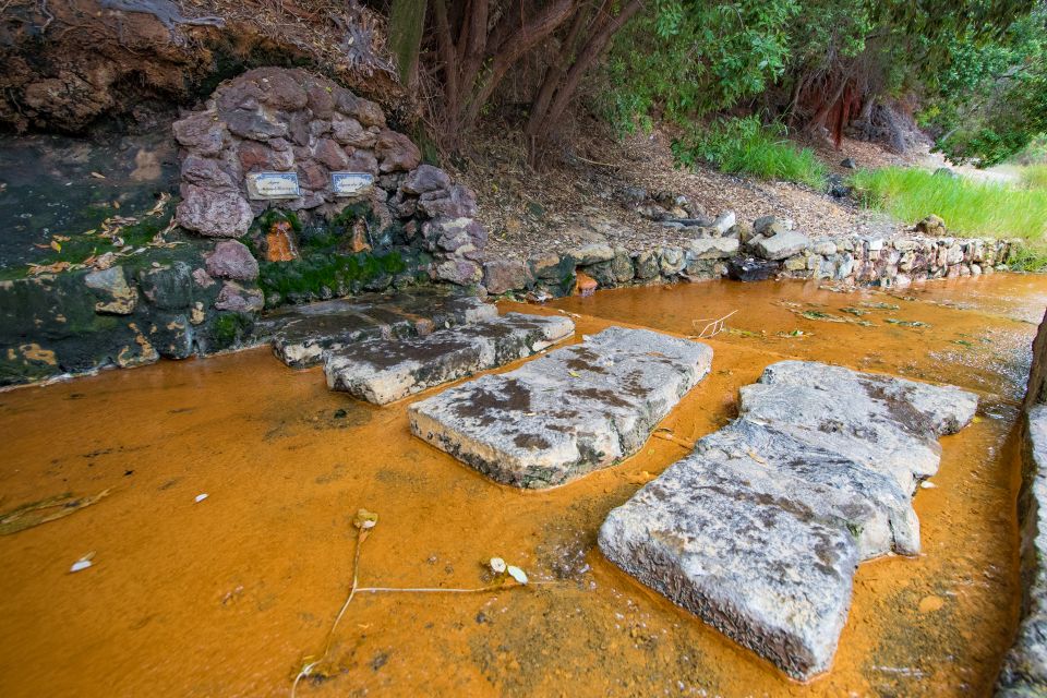 São Miguel Island: Full Day All-in-One Tour - Lunch in Furnas: the real point of Furnas stew