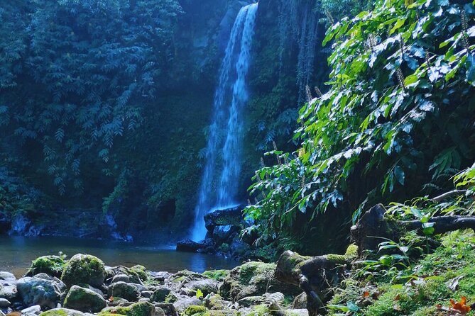 São Miguel: Majestic North Tour (Local Lunch Incl.) - Key takeaways before you go