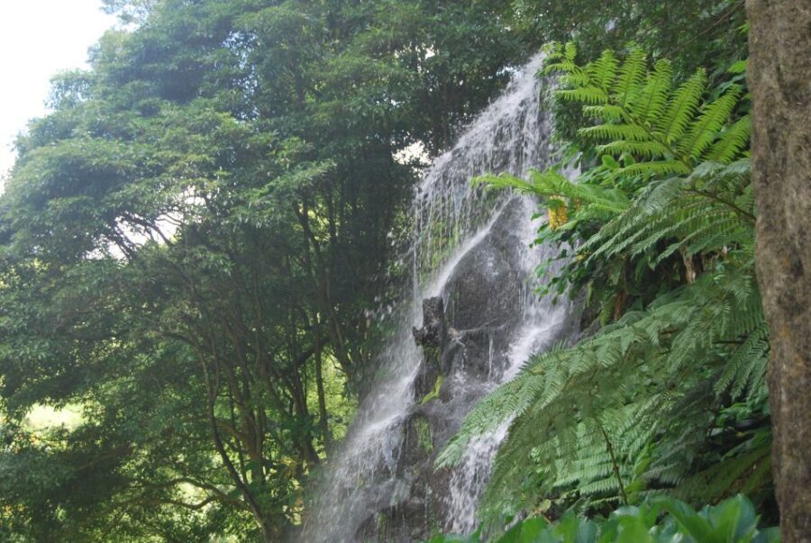 São Miguel: Nordeste, Cliffs & Waterfall Day Trip with Lunch - Cascata do Risco: the waterfall stop that actually lets you feel it