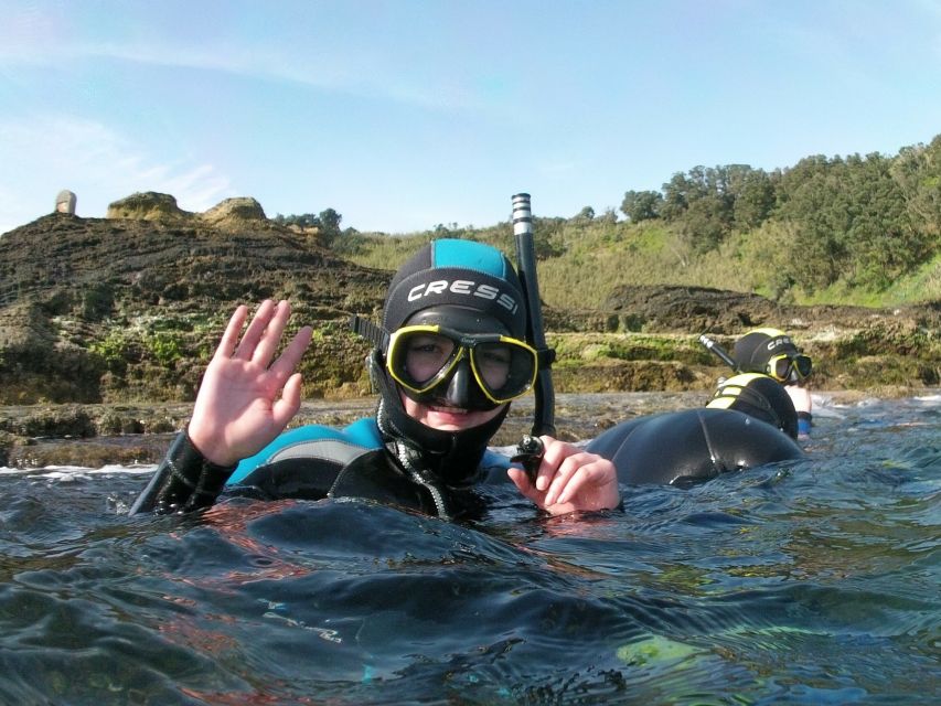 Sao Miguel: Snorkeling around Vila Franca do Campo - Key things you’ll notice right away