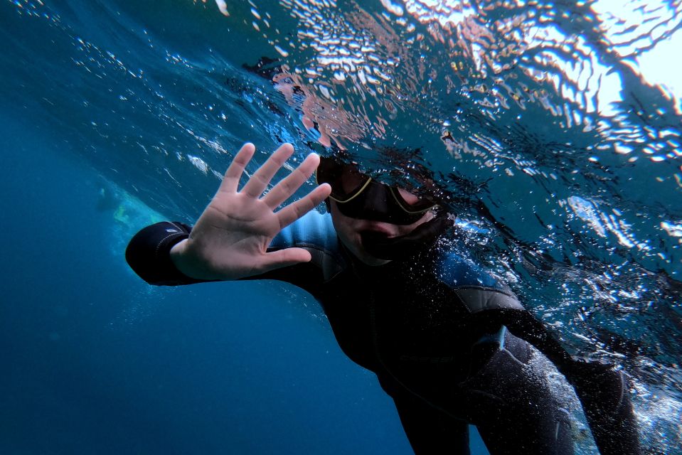 Sao Miguel: Snorkeling around Vila Franca do Campo - Vila Franca do Campo Island: why this snorkel works