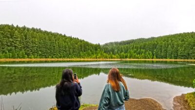 São Miguel West: Sete Cidades and Fogo Tour with Lunch - Pickup, small group, and why timing matters