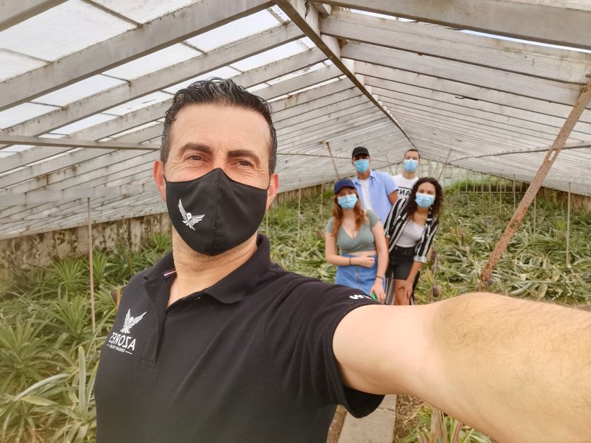 São Miguel West: Sete Cidades and Fogo Tour with Lunch - Pineapple greenhouses: the calm start that feels different