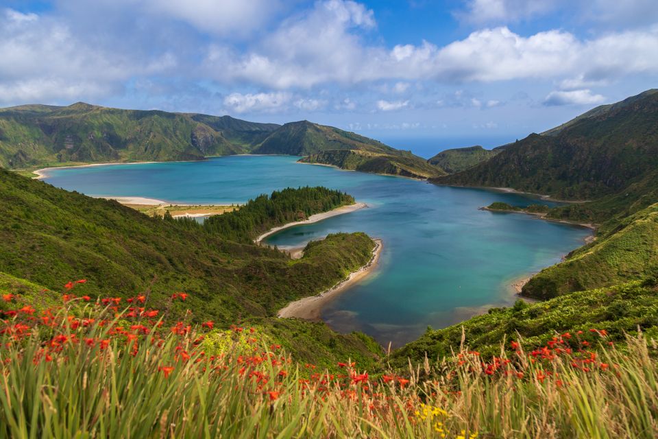 São Miguel: Whales & Volcano Full-Day Tour with Lunch - Key highlights at a glance
