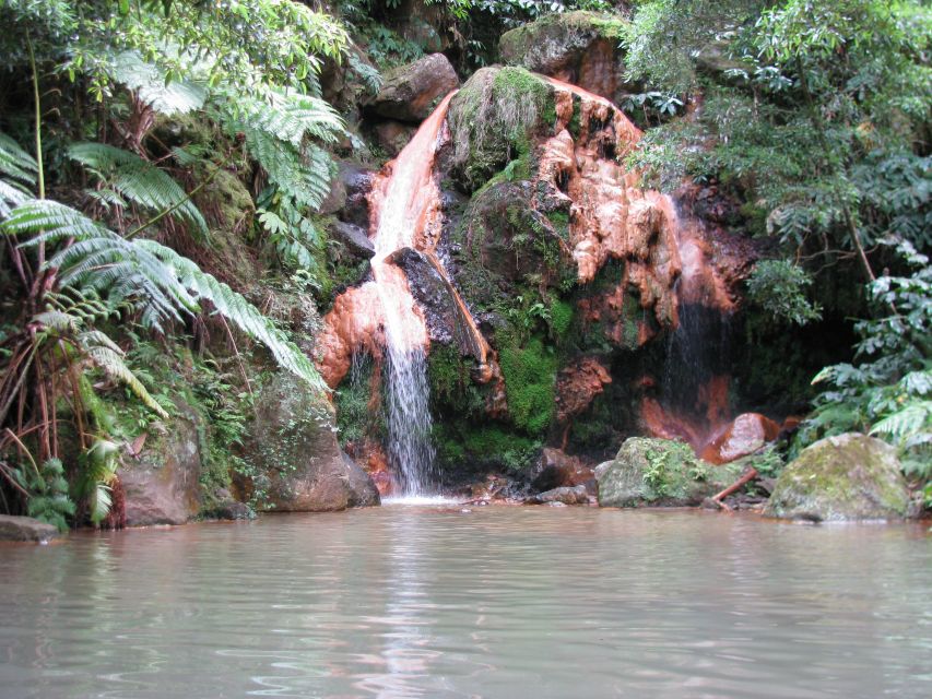 São Miguel: Whales & Volcano Full-Day Tour with Lunch - Things to know before you go: weather, timing, and expectations
