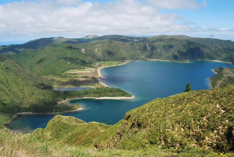 São Miguel: Whales & Volcano Full-Day Tour with Lunch - Who should book this tour?