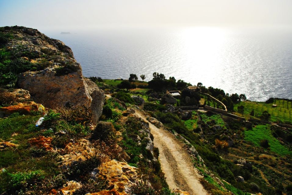 Scenic Tour by Vintage Bus to Buskett Garden & Dingli Cliffs - A 1928 vintage bus ride through Malta’s best stops
