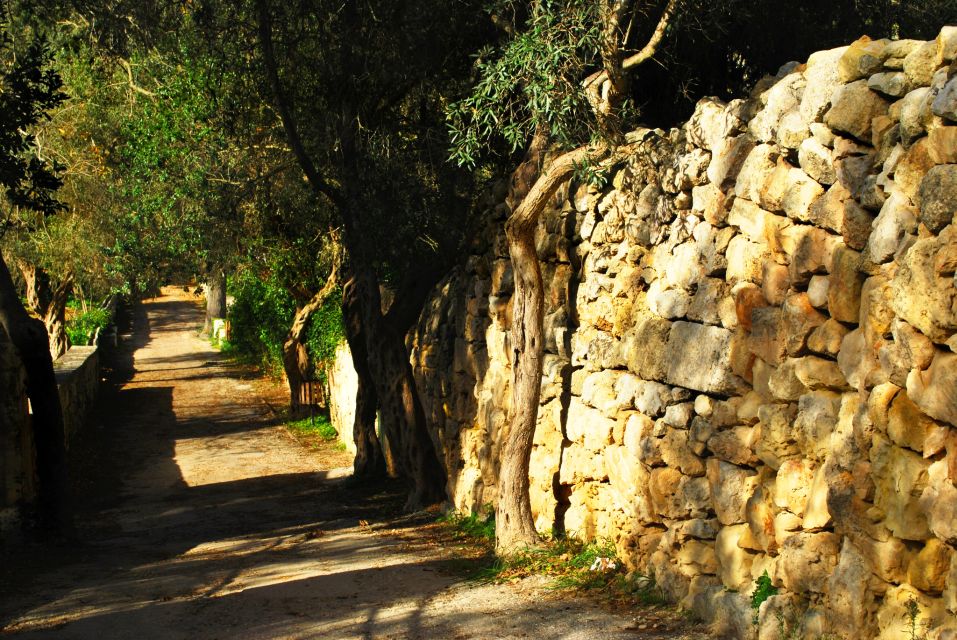 Scenic Tour by Vintage Bus to Buskett Garden & Dingli Cliffs - Palazzo Falson in Mdina: 13th-century rooms on earlier foundations