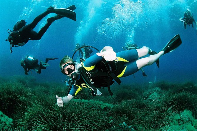 Scuba Diving Baptism and Snorkeling in Ibiza - Key highlights worth knowing