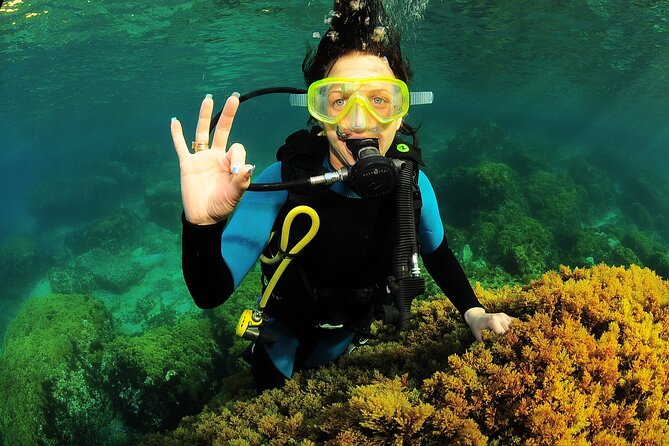 Scuba Diving Baptism and Snorkeling in Ibiza - Your first underwater loop: shallow entry, circular route, and what you’ll see