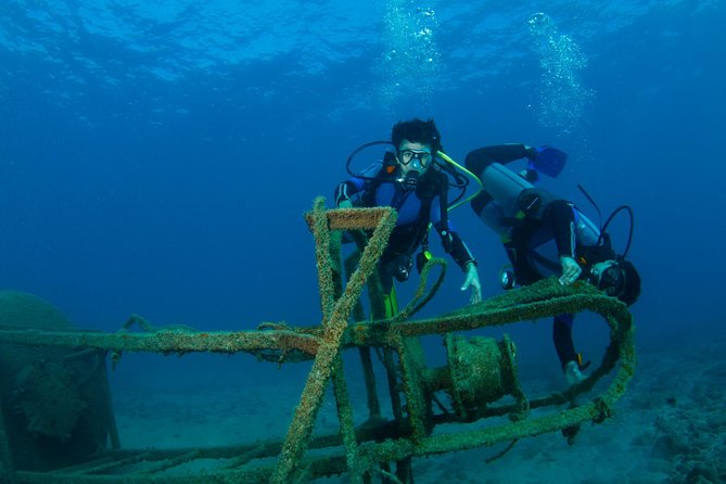 Scuba Diving Baptism in Caleta de Fuste - Marine Life Off Caleta de Fuste: More Than a Photo Moment