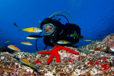 Scuba Diving Baptism in Caleta de Fuste - Training Ladder 101: Theory, Hand Signals, and Safety Rules
